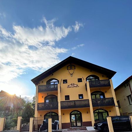 Hotel Casa Lupascu Vatra Dornei Exterior foto