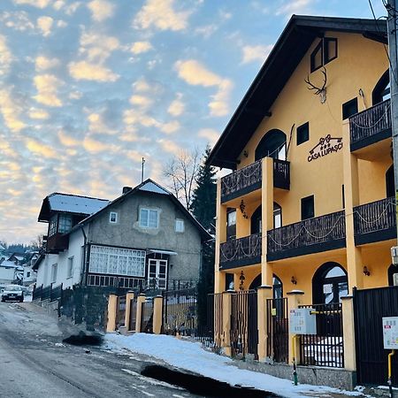 Hotel Casa Lupascu Vatra Dornei Exterior foto