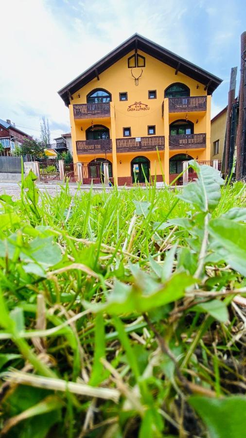 Hotel Casa Lupascu Vatra Dornei Exterior foto
