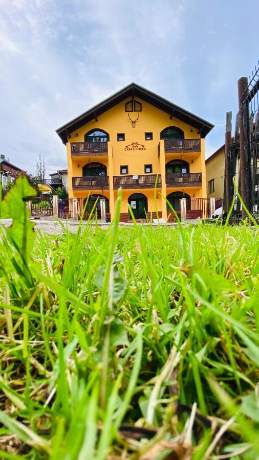 Hotel Casa Lupascu Vatra Dornei Exterior foto