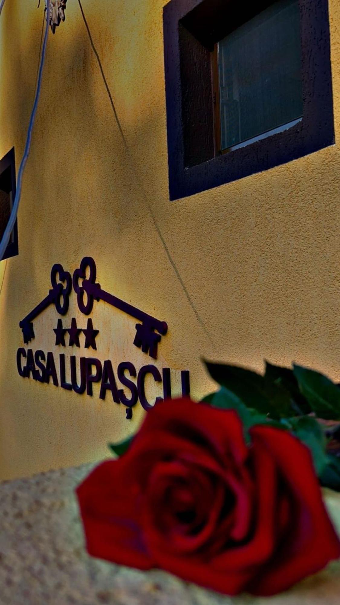 Hotel Casa Lupascu Vatra Dornei Exterior foto