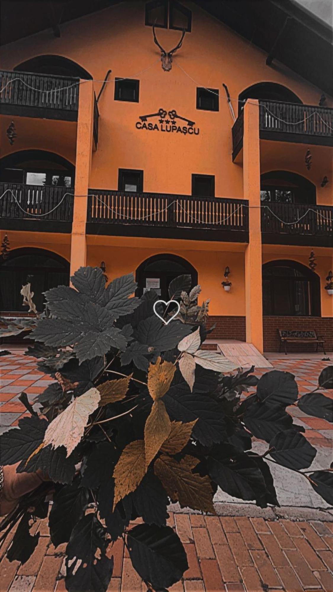 Hotel Casa Lupascu Vatra Dornei Exterior foto